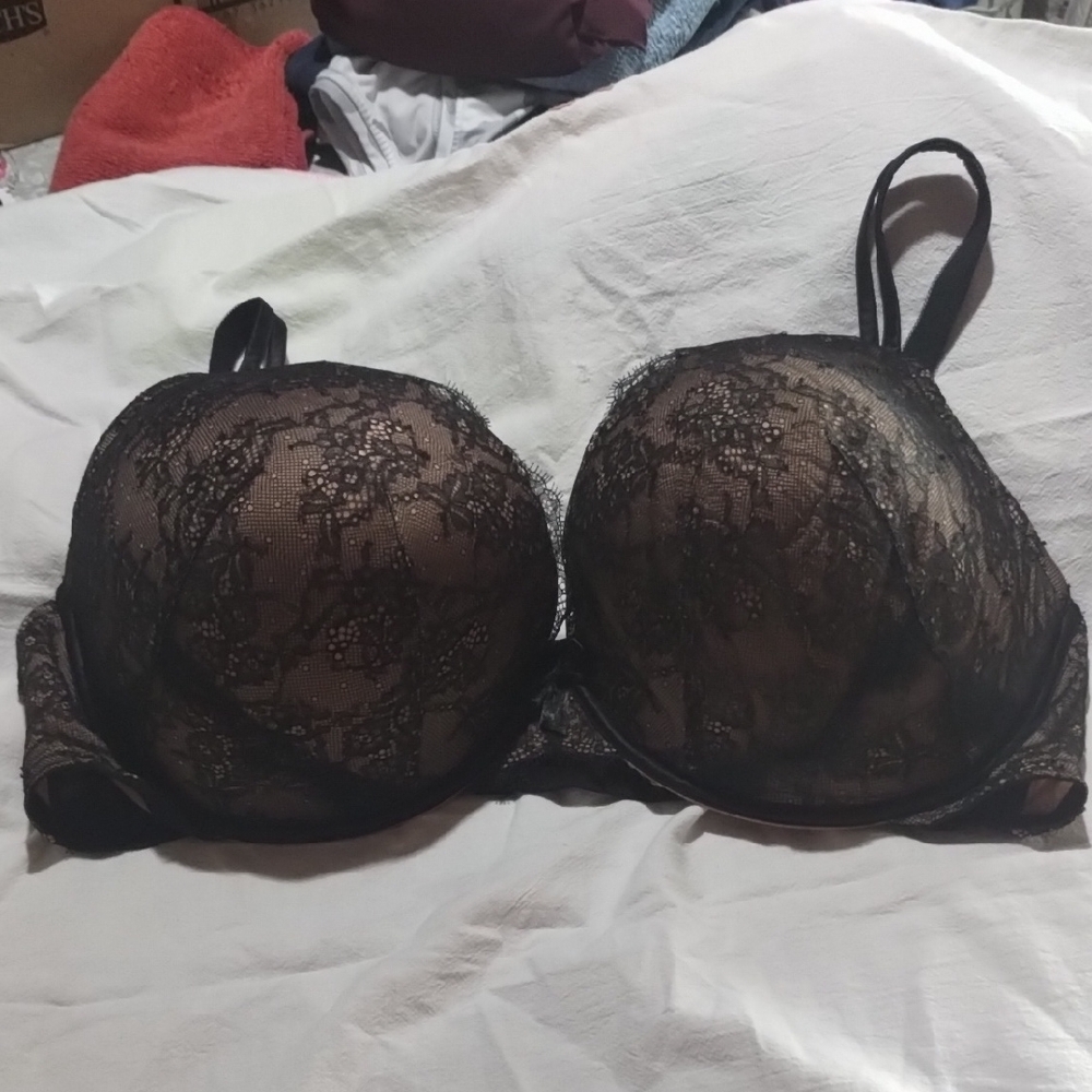 Torrid Black and Brown Lace Bra